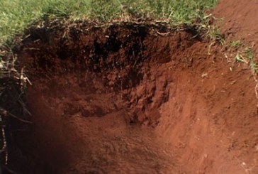 آشنایی با کار خاک شناس ، چگونه خاک شناس شوم؟