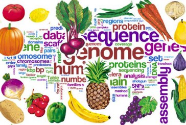 علم تغذیه چیست؟ کار متخصص تغذیه چیست؟